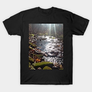 Mossy rock stream T-Shirt